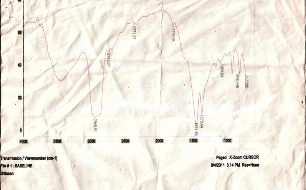 Figure 3: IR spectrum of chitosan obtained with the use of autoclave, higher temperature and concentration.