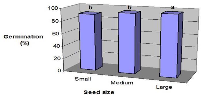 Figure 3: Effect of seed size on germination percentage in wheat [27].