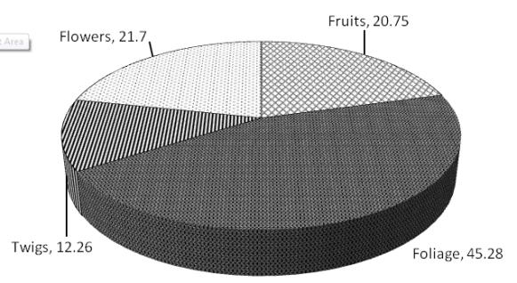 Figure 18: Percentage of food preference of Nilgiri Langur.