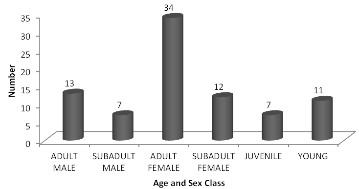 Figure 6: Group Composition of Nilgiri Langur.