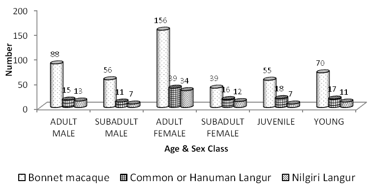 Figure 7: Comparison of Age and Sex Class of South Indian Primates.