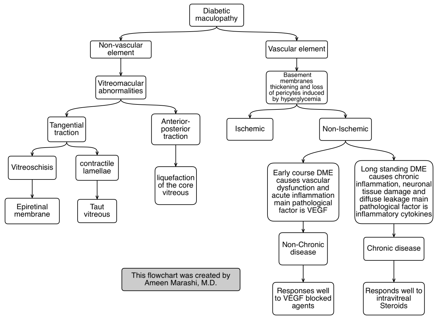 Figure 1: A flow chart created by the author explaining the pathological elements causing the diabetic maculopathy.