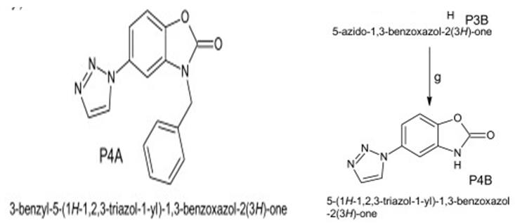 Figure 3: Benzoxazolinone derivatives with maximum antimicrobial potential.