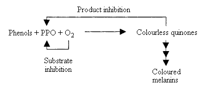 Figure 6: Hypothesized inhibition of microbial growth by high O2 MAP [31].
