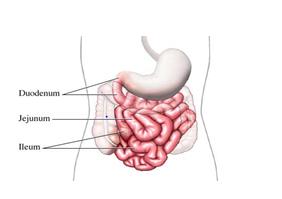 Figure 1: Thinking & Feeling Aspect of the Human Body.