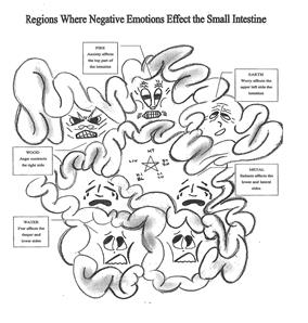 Figure 2: Illustrations by: Samantha Freeland.