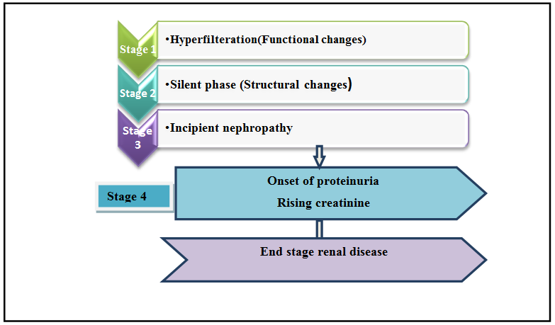Figure 2: Representing pathogenesis of DN to ESRD [14].
