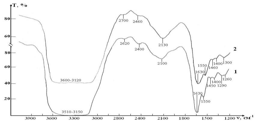 Figure 5: IR absorption spectra of initial erythrocyte suspensions in the range 1200-4000 сm-1: curve 1- control; curve 2 - test.
