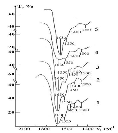 Figure 6: IR absorption spectra of the sample of control consisting of RBCs suspension in native saline solution in CPDA-1 medium on main stages of the study: curve 1- stage I (day 1); curve 2 - stage V (day 28); curve 3 - stage VII (day 42).