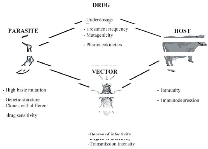 Figure 3: Factors influencing the development of drug resistance, Source: [50].