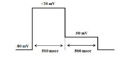 Figure 1: hERG Tail Current. Data acquisition and analysis: The hERG currents were measured with an amplifier (Axopatch 200B; Molecular Devices, LLC., Sunnyvale, CA). Electric signals were recorded onto computer hard drive by software (pCLAMP 10; Molecular Devices, LLC., Sunnyvale, CA). The peak tail currents obtained before and 11 mins after beginning the application were compared, and the change rate (suppression rate) was calculated. The suppression rate in each cell was compensated for by the mean suppression rate in the vehicle-control group with the formula described below. Effects of the test substance and positive-control substance were evaluated with the compensated suppression rates.  X: Suppression rate (%) X = [(A – B) / A] × 100 A: Peak tail current in each cell immediately before application B: Peak tail current in each cell at completion of application  Xc: Compensated suppression rate (%) Xc = [(A − B) / (100 − B)] × 100 A: Suppression rate in each cell (%) B: Mean suppression rate in vehicle-control group (%) The data are represented as mean ± standard deviation (SD) and analyzed using one-way analysis of variance (one-way ANOVA) or student’s t-test (SAS®, Ver. 9.3; SAS Institute Japan Ltd. and EXSUS, Ver. 8.0; CAC Croit Corporation). The significance levels were defined at _p_<0.05.