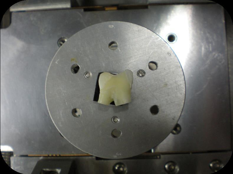 Figure 14: Sample Chamber of Scanning Electron Microscope.