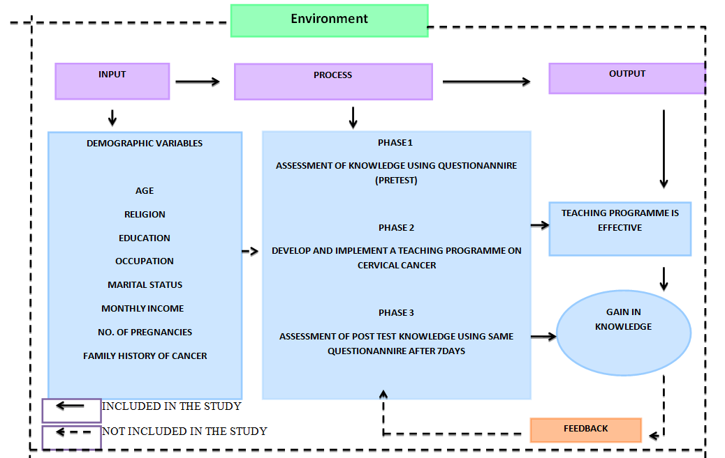 Figure 1: Conceptual framework based on Ludvig Von Bertalanffy’s henesar system model (1968).