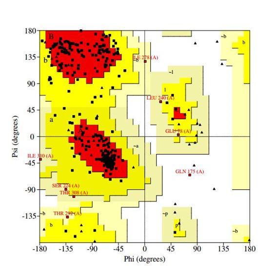 Figure 5: PROCHECK analysis result for best models for L-asparaginase of Shigella boydii.