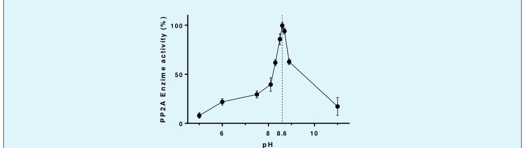 Figure 3: Progress curve test of enzymatic activity of PP2A with p-NPP: Measurement of enzymatic activity using p- NPP and PP2A (■), p-NPP without PP2A (□) and PP2A without p-NPP (●).