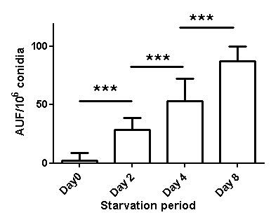 Figure 3: Starvation elevated ROS accumulation. The fluorescence density was examined to evaluate the ROS accumulation under the influence of 0-day, 2-day, 4-day and 8-day starvation, presented in the figure accordingly from left to right. The fluorescence emitted by the starving fungi of day 2 was 3.0-fold higher than the normal ones (p<0.001).
