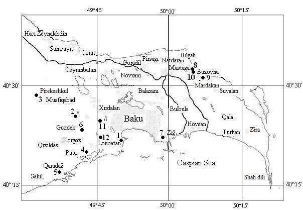 Figure 12
