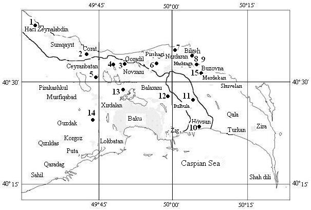 Figure 9