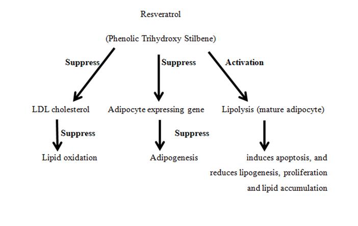 Figure 2: Mechanism of Action of Triton-X 100.