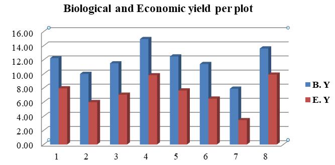 Figure 1: Biological and Economic yield per plot.