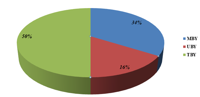 Figure 10: Small, medium and large bulb number per dunam.