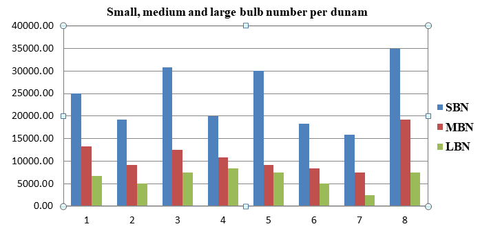 Figure 11: Small, medium and large bulb number in percent.