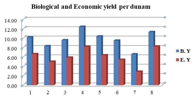 Figure 2: Biological and Economic yield per dunam.