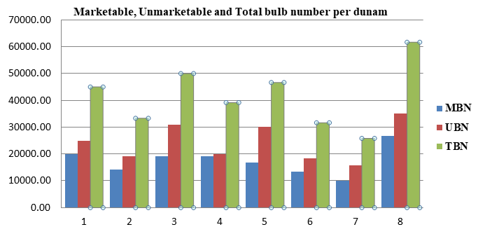Figure 3: Harvest index in percent (HI %). Marketable Bulb Number per Dunam