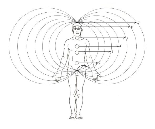 Figure 1: The 6+1 spinning energy centers and their discrete energy levels.