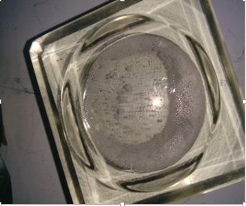 Figure 2: Citrate test on the microbial strain isolated.