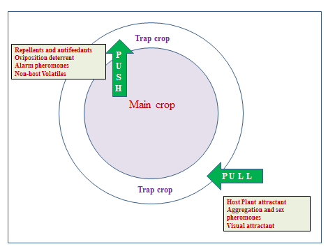 Figure 2: Component of Push-Pull System.