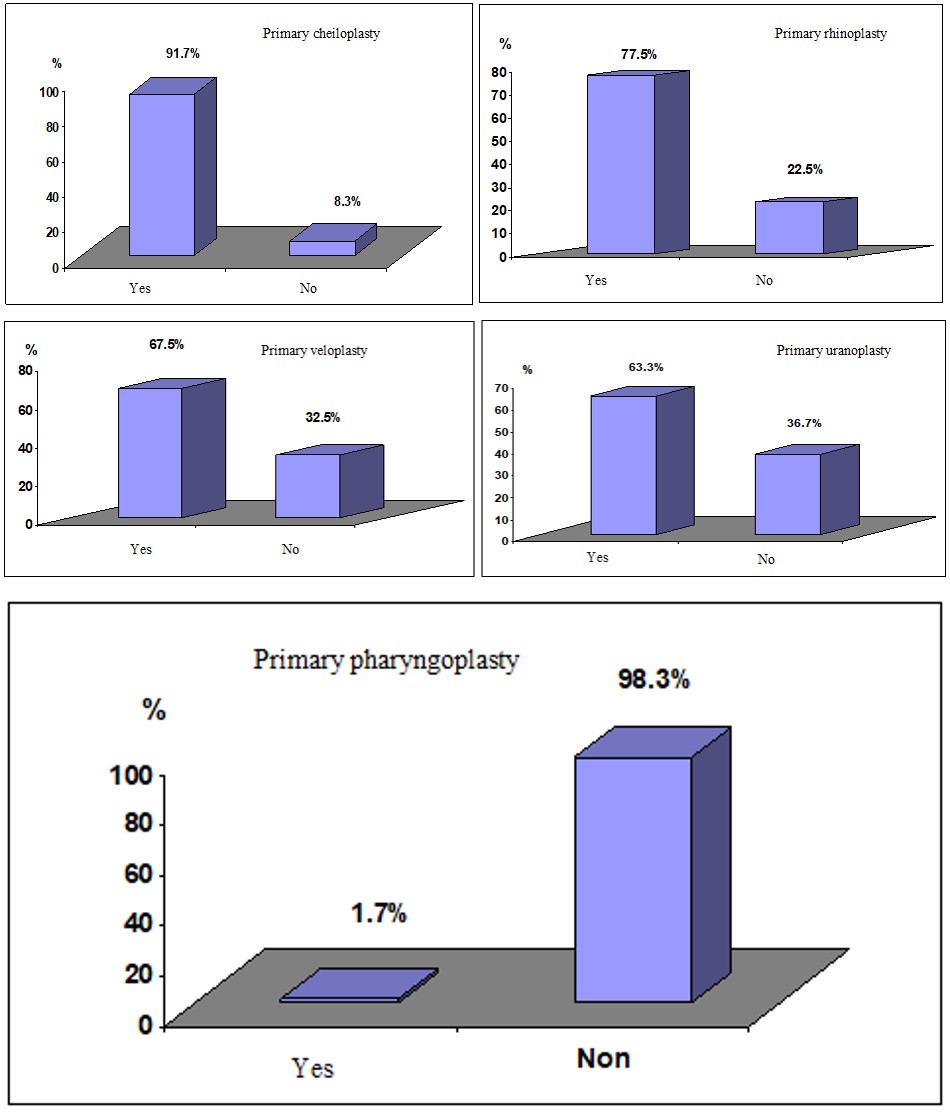 Figure 2: Results related to the primary treatment of clefts