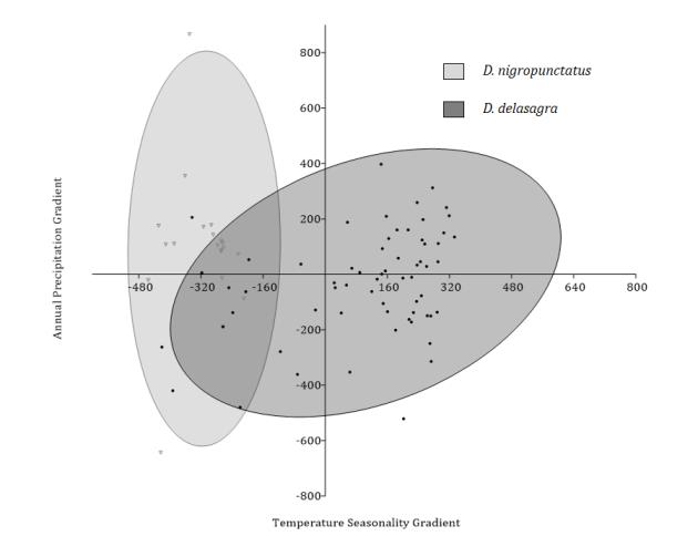 Figure 5: Graphic representation of the climatic fundamental niche of Diploglossus delasagra and D. nigropunctatus (Sauria: Diploglossidae) given by the two most important principal components.