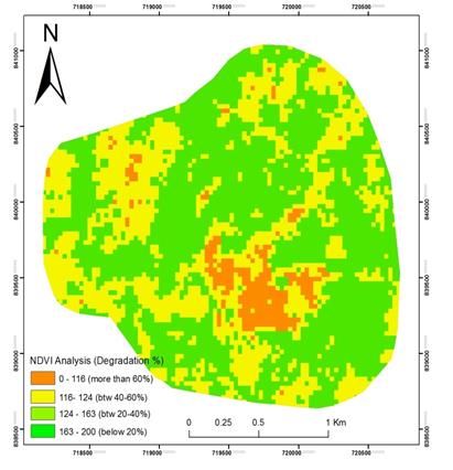 Figure 3: NDVI Analysis in the Ikogosi for 1991.