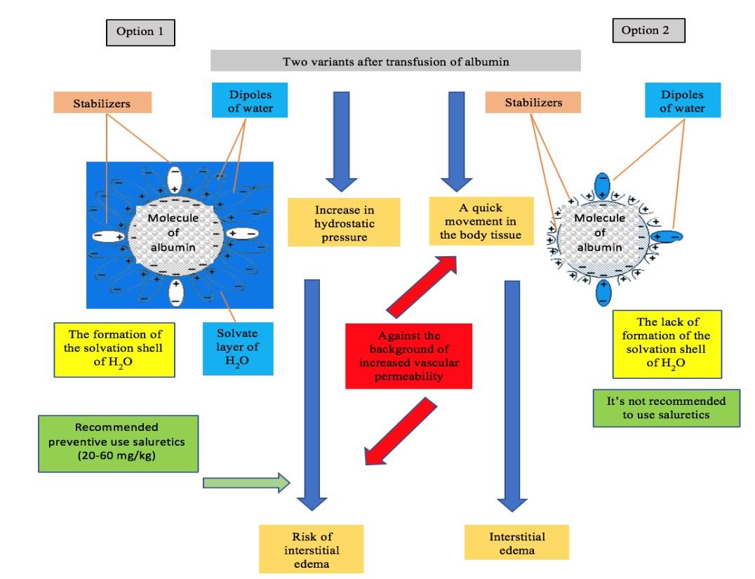 Figure 3: The scheme action of the two options of commercial albumin.