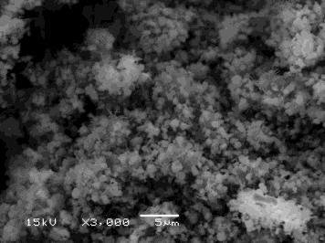 Figure 5: C/Zn level histogram for various ratios. To further illustrate the villous structure, a high magnification image with a ratio of 1:0.5 is presented in Figure 6(a), which shows that the surface melts and resolidifies as protrusions that resemble a villous structure. The formation mechanism is outlined in Figure 6(b). At the microscale, ZnC2O4particles typically have rectangular shapes; then, after matrix-dotted laser scanning, the surfaces of the particles melt and nucleation occurs along the surface of BB′. The cation and anion chains of β-ZnC2O4 compete to nucleate on the surface. Because of the minute characteristic of β-ZnC2O4, cell growth develops along the vertical direction AA′. Meanwhile, the microscale temperature gradient, Te to Ttip, induces the growth of cells. However, the concentration gradient, X0 to Xe, is not presented in this study. As a result, villous ZnC2O4 is formed.