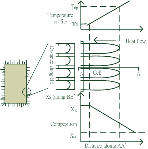 Figure 6: (a) High magnification image with a RGO: ZnO ratio of 1:0.5. (b) Proposed schematic diagram to interpret the formation of the villous structure.