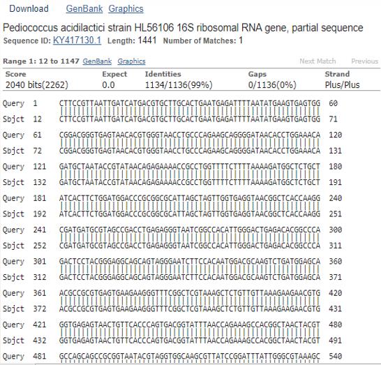 Figure 5: Identity of Pediococcus acidilactici strain with the GeneBank data base.
