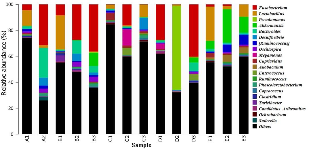 Figure 4: Relative abundance of the first 20 bacterial genera and other bacterial genera of 14 fresh fecal samples from overwintering Mandarin Ducks.