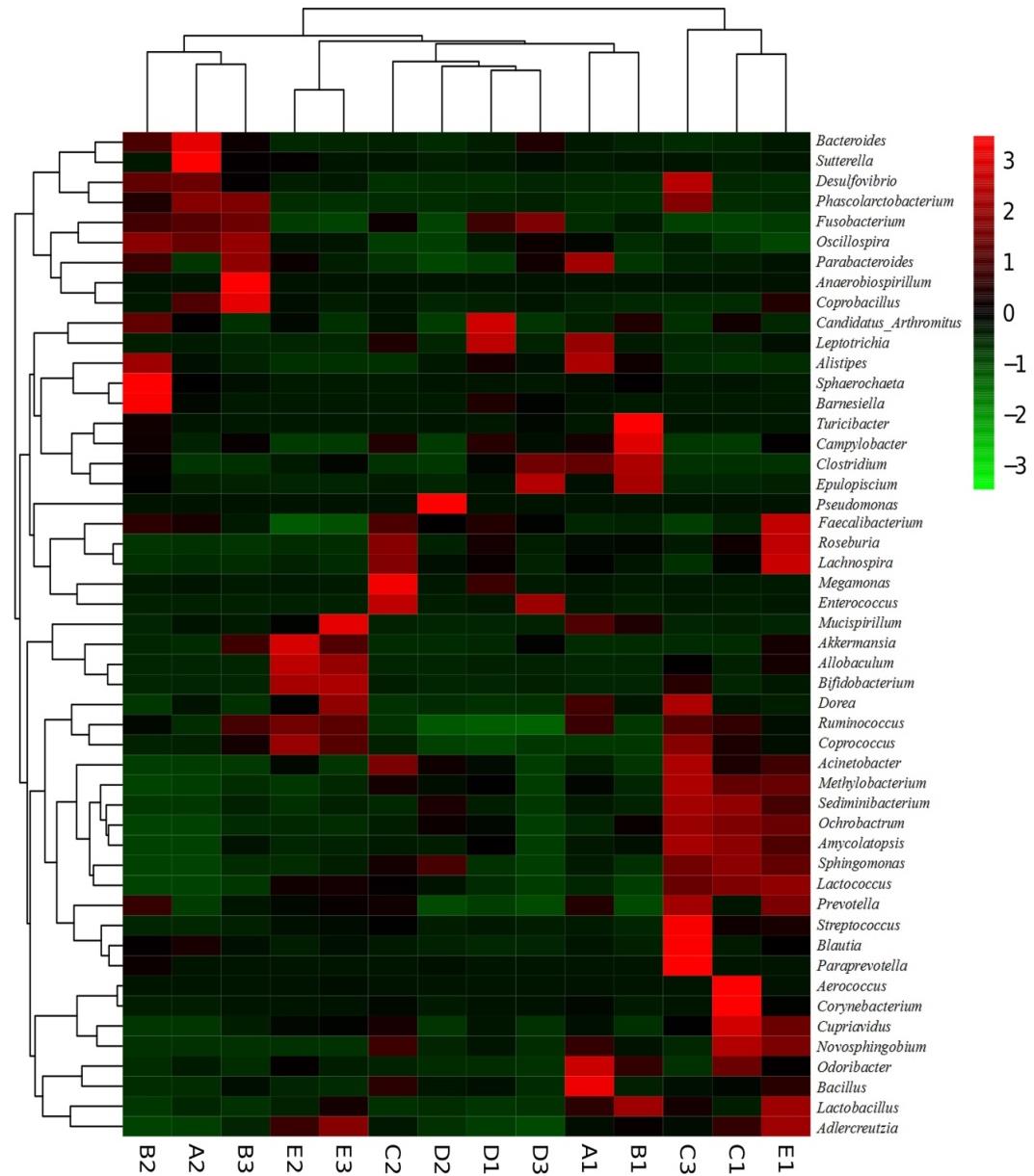 Figure 5: The clustering heat map of the top 50 bacterial genera for 14 fresh fecal samples from overwintering Mandarin Ducks.