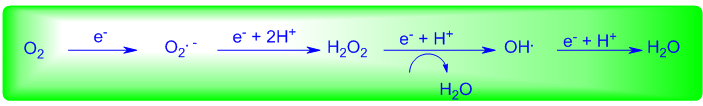 Figure 1: The univalent mechanism of oxygen reduction.