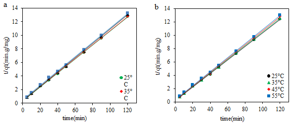 Figure 15: The linear relationship between pseudo second order kinetic models for the process of adsorption of lead metal ions by adsorbents of (a) hydroxyapatite (b) hydroxyapatite/Fe3O4.