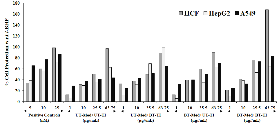 Figure 1: Trimetazidine (TMZ), positive control group in human cardiac fibroblasts cells (HCF) showed significant restoration of cell viability by 34%, 60%, and 98.3% at 5, 10 and 25 µg/mL, respectively as compared to the _t_-BHP induced group. Besides, the maximum restoration of cell viability among the tested groups by the test formulation was reported as 156.9% (at 1 µg/mL), 24.5% (at 10 µg/mL), and 67.1% (at 1 µg/mL) in the UT-Med + BT-TI, BT-Med + UT-TI, BT-Med + BT-TI groups respectively, as compared to the untreated test group (UT-Med + UT-TI group). Similarly, silymarin was used as positive control in HepG2 cells, which resulted in significant cellular restoration by 40%, 65.9%, and 86.6% at 5, 10 and 25 µg/mL respectively, as compared to the _t_-BHP induced group. Besides, the test formulation showed maximum restoration of cell viability by 83.5%, 7.5%, 94.5%, and 57.1% at 1, 10, 25.5, and 63.75 µg/mL respectively, in the UT-Med + BT-TI group. Similarly, 46.8%, 31.3%, and 48.6% improved cellular restoration was reported at 1, 10, and 25.5 µg/mL respectively, at BT-Med + BT-TI groups as compared to the UT-Med + UT-TI group. In addition, quercetin was used as positive control in adenocarcinomic human alveolar basal epithelial cells (A549) resulted, restoration of cell viability by 56.8% and 66.4% at 10 and 25 µg/mL, respectively compared to the _t_-BHP induced group. Besides, the test formulation showed maximum restoration of cell viability at 63.75 µg/mL by 49.8%, 61.7%, and 92.4% in the UT-Med + BT- TI, BT-Med + UT-TI, BT-Med + BT-TI groups, respectively as compared to the UT-Med + UT-TI group. Oxidative damage in all the three cells were initiated followed by identification of percentage cytoprotective activity that showed the cellular protection of vital organs and their functioning _viz._ heart, liver, and lungs. The activity of the test formulation was examined in the _in vitro_ cell-based assays under the stimulation of oxidative stress in different cell-lines using _tert_-butyl hydroperoxide (_t_-BHP) [41,42]. Cellular damage has been reported because of high incidence of oxidative stress, which is the initiating factor for many pathological diseases [41,43]. Besides, cellular damage due to oxidative stress results in many age-related disorders such as diabetes, cardiovascular, autoimmune diseases, and cancer [44-46]. The experimental data revealed that Biofield Energy Healing Treatment significantly protects the _t_-BHP induced oxidative stress in all the three cell lines with respect to cardiotoxicity, hepatotoxicity, and lung cell toxicity. However, it was assumed that this significant activity could be due to The Trivedi Effect®. Therefore, the Biofield Energy Healing Treatment could be successfully used for the management of various pathological etiologies against cardiovascular, liver, and various lung diseases.