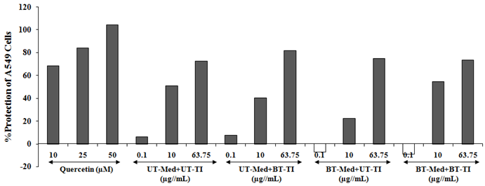 Figure 5: The positive control, quercetin showed improved percentage increase in the SOD activity with respect to the _t_-BHP by 68.4%, 83.9%, and 104.2% at 10, 25, and 50 µg/mL concentration respectively. However, the percent protection of A549 (lungs) cells (increased of SOD activity) was significantly increased by 20.6% and 12.8% at 0.1 and 63.8 µg/mL respectively, in the UT-Med + BT-TI group, while increased SOD activity by 1.5% at 25.5 µg/mL in the BT- Med + UT-TI group, and increased SOD activity by 6.9% at 10 µg/mL in the BT-Med + BT-TI group as compared to the UT-Med + UT-TI group (Figure 5). The experimental data showed that Biofield Energy Treatment has the significant capacity to improve the level of SOD enzyme that would be highly significant to resist against various respiratory diseases such as chronic obstructive pulmonary disease (COPD), pneumonia, asthma, pulmonary fibrosis, and lung cancer.