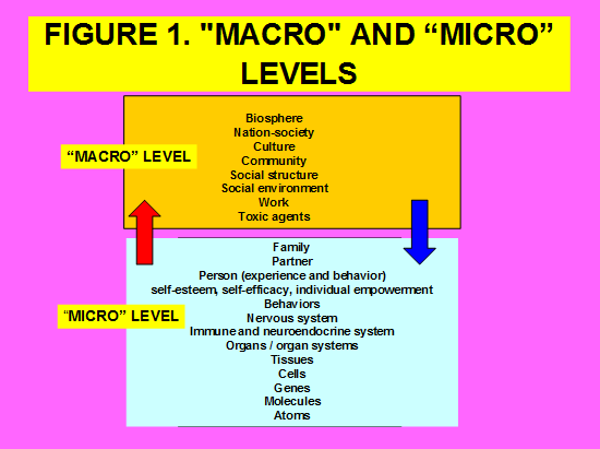Figure 1: “Macro” and “Micro” Levels.