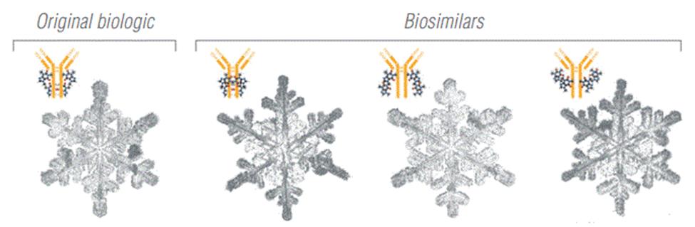 Figure 1: How biosimilars differ from original or Innovator Biologics (Figure adapted from amgem biosimilar report).