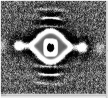 Figure 6: Diffraction patterns obtained from the whisker showing a ring in pattern (c) 2mm from root, but no ring in patterns (a) at the tip or (b) in steps of 2mm approx. down the whisker.