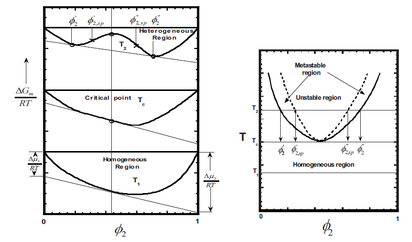 Figure 3: The volume fraction of component 1 rich phase, φ1r, and component 2 rich phase, φ2r, can be determined from the expression, with φ representing the overall composition of the component noted in Figure 3: