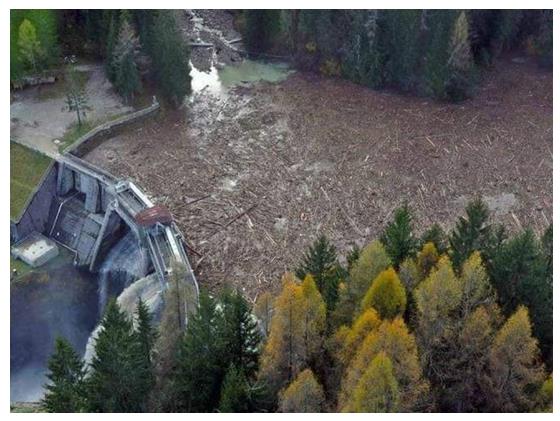 Figure 1: In 2018 a storm produced a disaster in Italian alpine forests, felling millions of centenary trees. Presence of dams impeded the arrival of trees in large rivers and finally in to the sea).