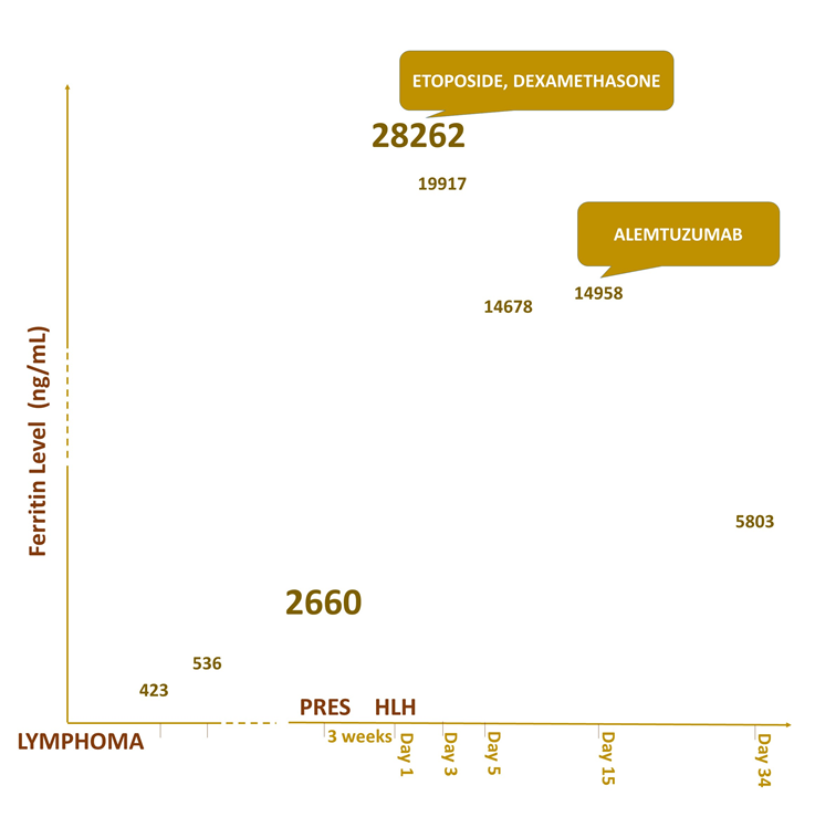 Figure 3: Treatment course and ferritin levels at each stage.